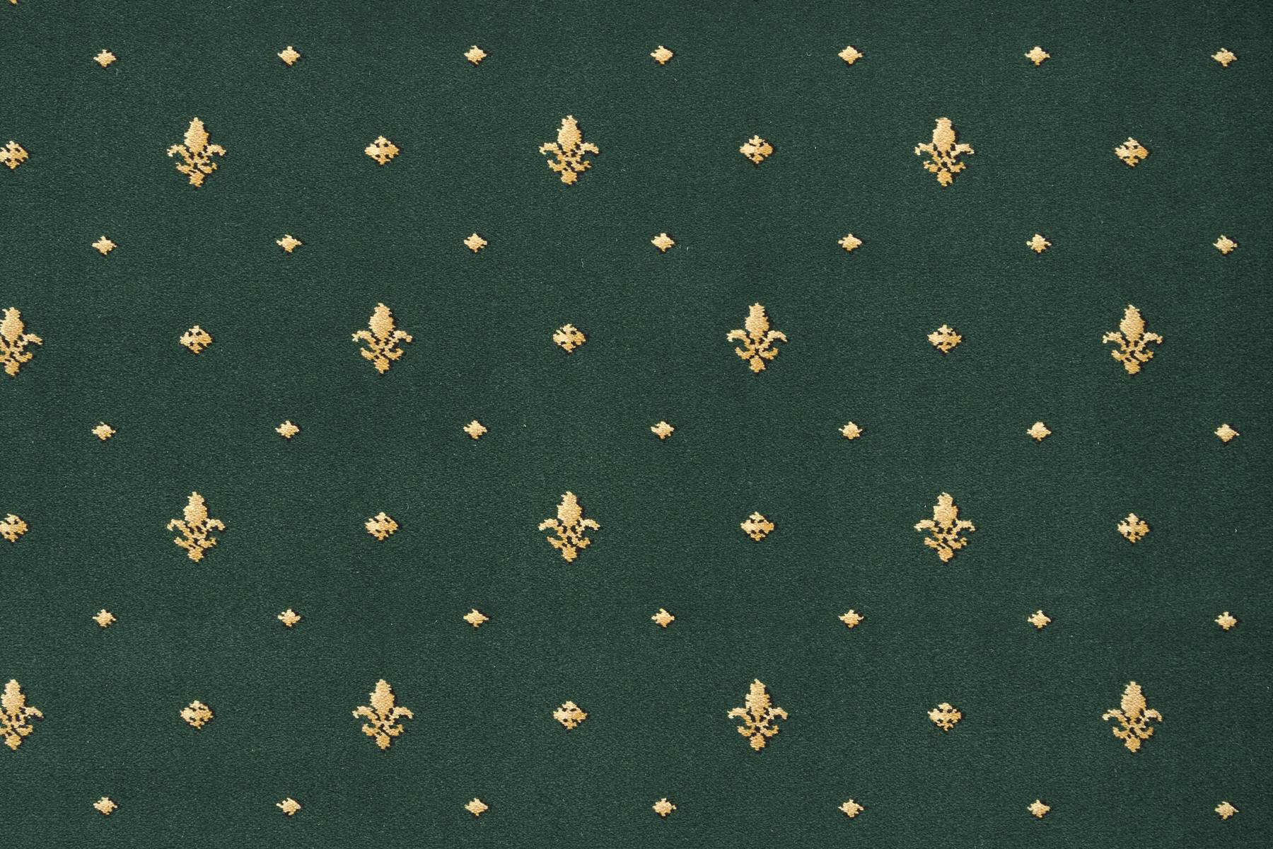 Royal Lily - Emperor