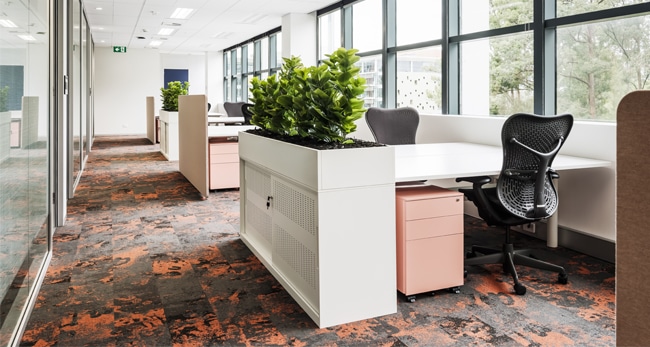 biophilia and carpet tiles commercial flooring